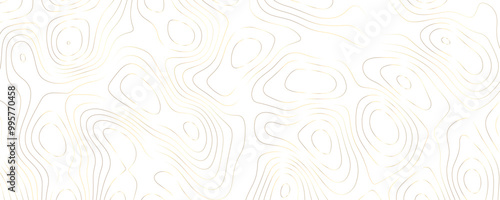 Wide Geometric Topography Design with Curved Contour Lines and Flowing Terrain Patterns in a Premium Gold and White Palette 