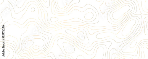 Premium Topographic Landscape with Gold Contour Lines and Organic Terrain Flow on a Geometric Grid Design 