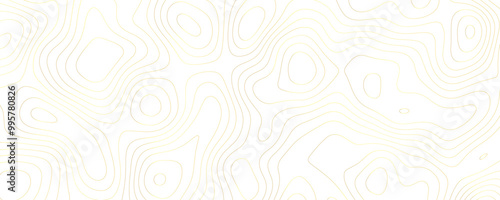 Wallpaper Mural Luxury Topographic Illustration with Gold Outlined Contours and Geometric Grid Patterns on a Wide Terrain Landscape
 Torontodigital.ca