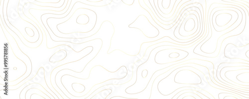 Abstract White and Gold Terrain Topography: A Premium Design Illustration 