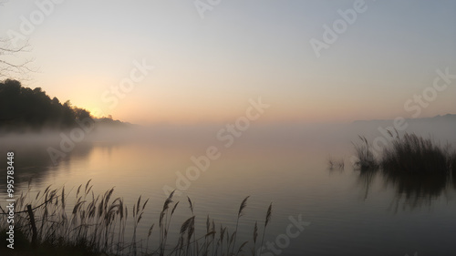 Serene Lakeside Scene at Dawn with Misty Reflection