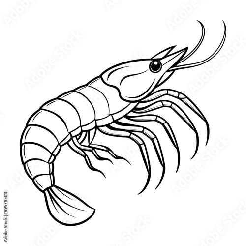 line art Shrimp fish vector
