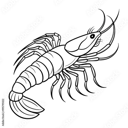 line art Shrimp fish vector