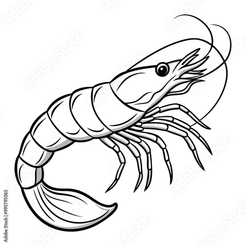 line art Shrimp fish vector