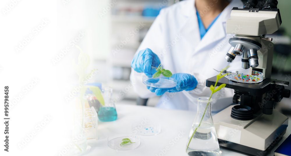 Food science as lab scientists test and analyze vegetables for safety and quality using advanced technology Food science as lab scientists test and analyze vegetables for safety and quality using advanced technology