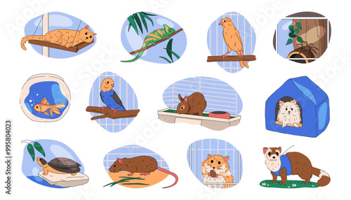 Set of vector pet or domestic animals. Collection of home companion. Dog or puppy, parrot bird and cat, iguana and tarantula spider, aquarium fish and rabbit in cage, turtle, rat, hamster, marten