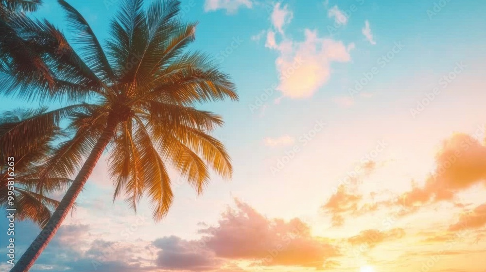 The sun sets behind palm trees, casting a warm glow and vibrant colors across the sky filled with clouds The sun sets behind palm trees, casting a warm glow and vibrant colors across the sky filled with clouds