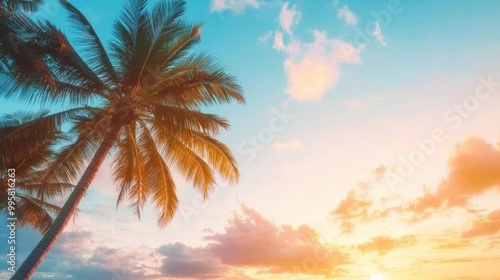 The sun sets behind palm trees, casting a warm glow and vibrant colors across the sky filled with clouds photo