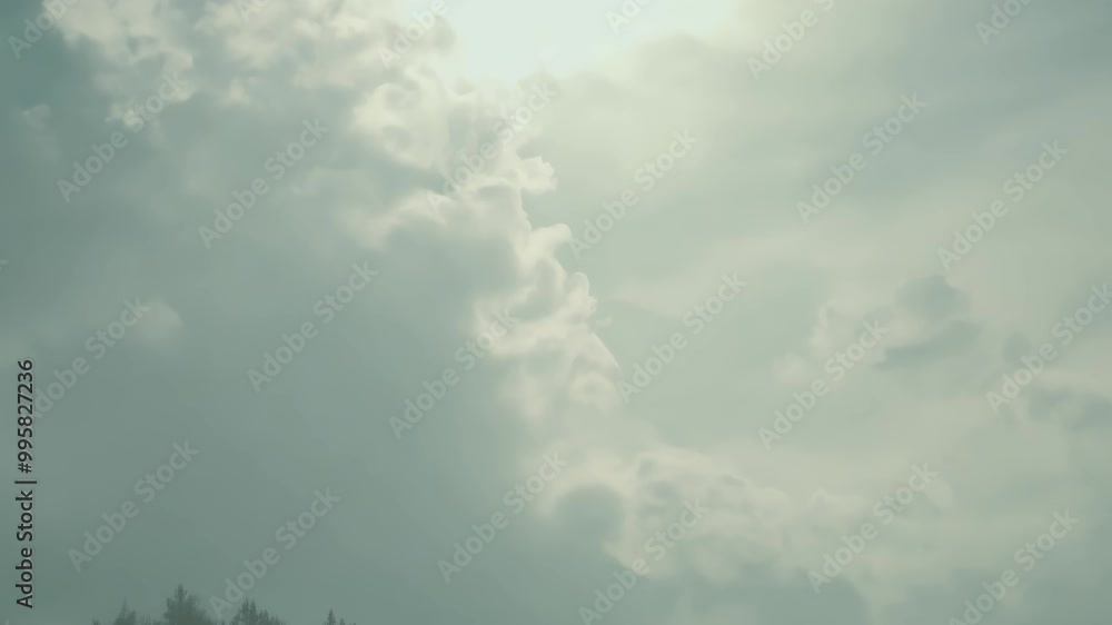 Dramatic cloudscape with sunlight illuminating sky over forest Dramatic cloudscape with sunlight illuminating sky over forest