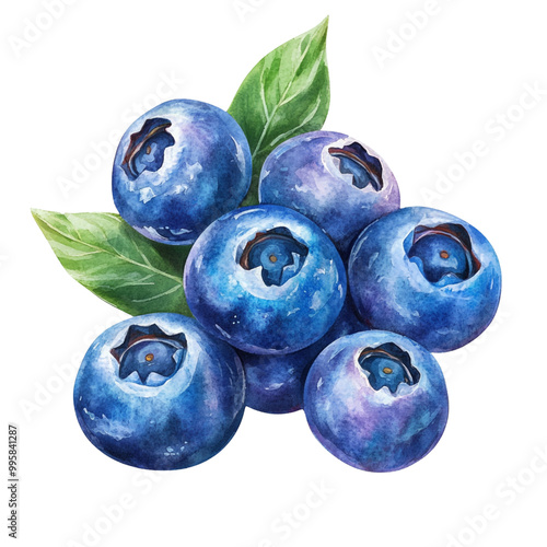 blueberries on a white background
