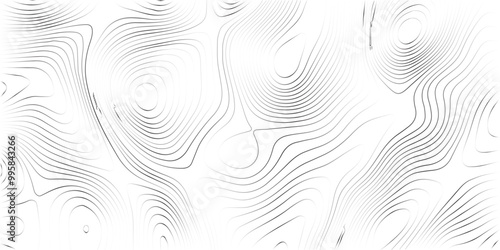 Transparent PNG Topographic line map. Modern design with White background with topographic wavy pattern design.	