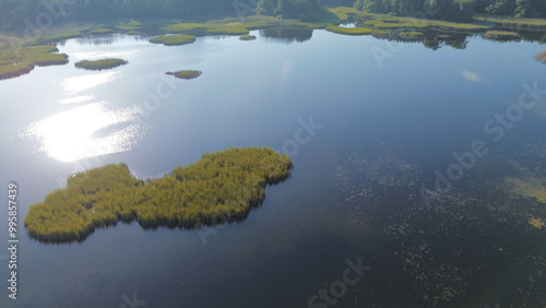 Scenic Aerial View of Reeds Growing in a Blue Lake