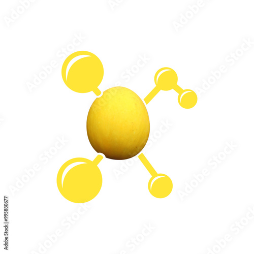 Modern logo design for the chemical yellow melon which is included in the body organs.