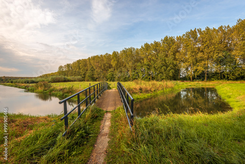 Obraz na płótnie Bridge with iron railings over a small stream in a Dutch nature reserve. It is the last day of the summer season and the autumn colours are already visible. w salonie