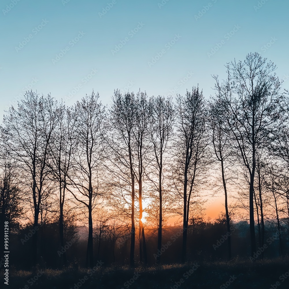 Fototapeta premium Serene sunset view behind silhouetted trees, casting a tranquil atmosphere in nature's beauty and calming landscape.