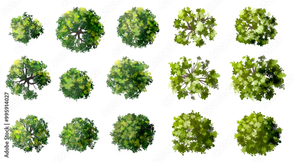 Vector of green tree side view isolated on white background ,watercolor tree elevation for landscape concept,environment scene,eco design, garden for spring Vector of green tree side view isolated on white background ,watercolor tree elevation for landscape concept,environment scene,eco design, garden for spring