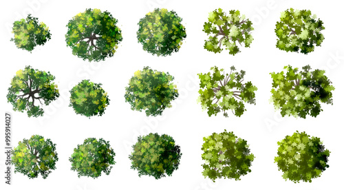 Vector of green tree side view isolated on white background ,watercolor tree elevation for landscape concept,environment scene,eco design, garden for spring