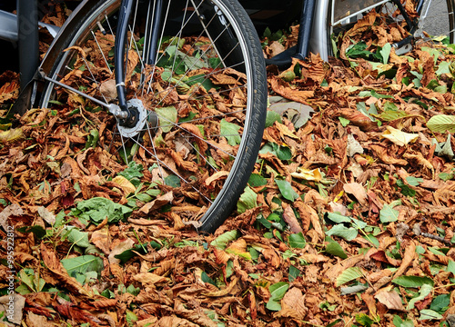 cycle path for driving with bicycle