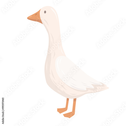 Isolated goose is standing on white background.