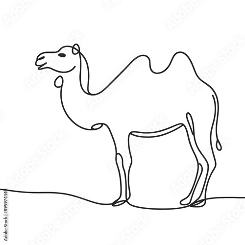 A camel is standing on a sandy surface. The camel has a long neck and is looking to the right