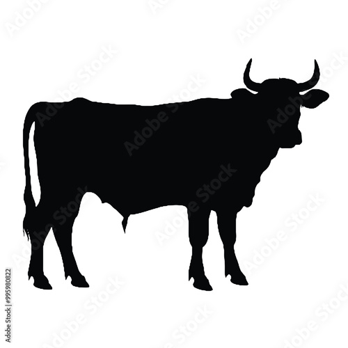 A cow   vector silhouette, a cow with horns ,silhouette isolated white background