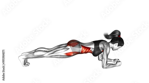 Front Plank (female)