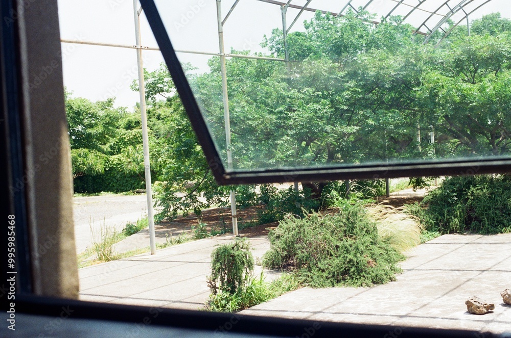 Fototapeta premium 자연풍경