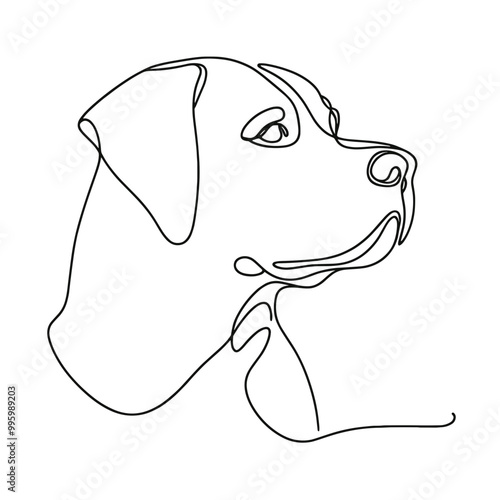 A dog with a black nose and a white muzzle. The dog has a black and white face