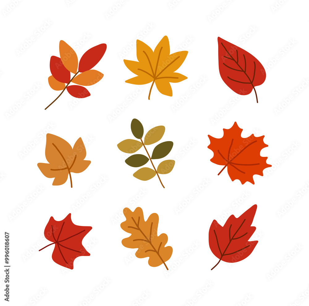 Fototapeta premium A set of hand-drawn illustrations of various types of colorful fallen leaves with an autumn concept.