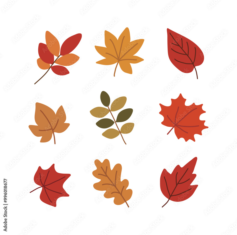 A set of hand-drawn illustrations of various types of colorful fallen leaves with an autumn concept. A set of hand-drawn illustrations of various types of colorful fallen leaves with an autumn concept.