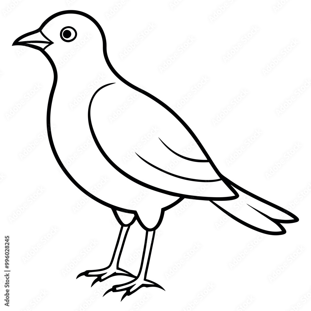Fototapeta premium A cute bird vector art illustration. 