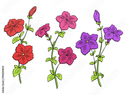 Petunia flower graphic color isolated sketch set illustration vector