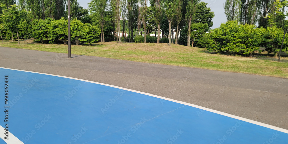 custom made wallpaper toronto digitalblue running track, on a Yeouido river park, in Seoul, a paved area with a blue-painted section, surrounded by lush green trees and bushes. buildings and structures, a sunny day with a clear sky