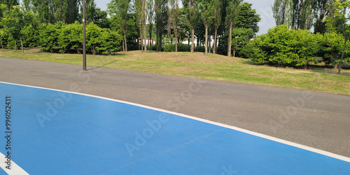 Wallpaper Mural blue running track, on a Yeouido river park, in Seoul, a paved area with a blue-painted section, surrounded by lush green trees and bushes. buildings and structures, a sunny day with a clear sky Torontodigital.ca
