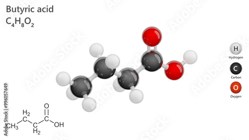 Fotografie 3D model of molecule Butyric acid C4H8O2