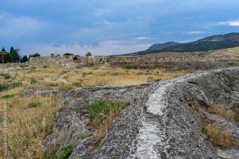 Empty road in a national park in Turkiye Empty road in a national park in Turkiye