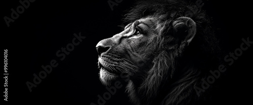 Lion in profile on a dark background, high contrast, black and white photography. Text space.