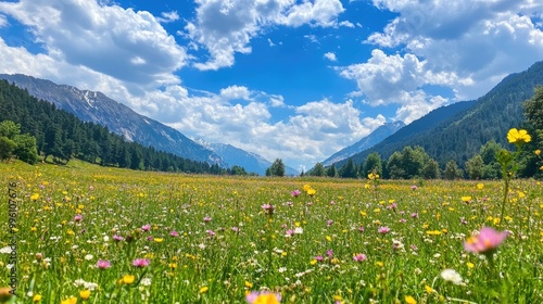 The verdant valleys of Pahalgam, with wildflowers blooming in the meadows and clear blue skies overhead.