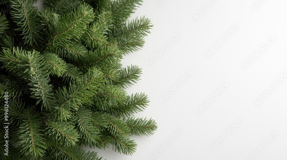 A close-up of vibrant green pine branches against a simple white background, suitable for holiday or nature-themed designs. A close-up of vibrant green pine branches against a simple white background, suitable for holiday or nature-themed designs.