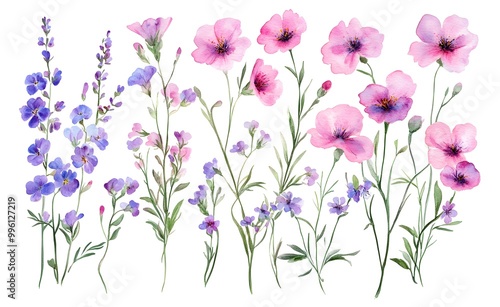 Set of pink and purple wildflowers, watercolor clipart with a white background.