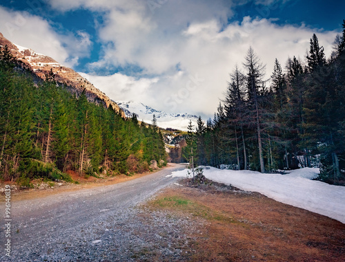 Early spring view of the top of Col d'Isoard Mountain Pass. Cold morning scene of Frnch Alps, France, Europe. Picturesque landscape of fir tree forest. Beauty of nature concept background. photo