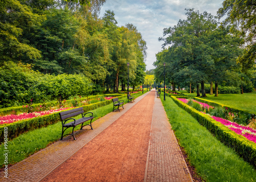 Empty alley in Zdrojowy park. Colorful outddor scene of botanical garden with blooming flowers and old trees in Swinoujscie town, Poland, Europe. Beauty of nature concept background.