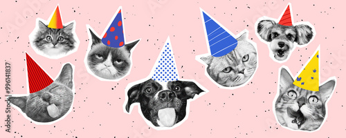 Photography funny cats and dogs in party hats