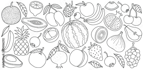 Hand drawn fruits set with line art style. doodle fruit background vector illustration.