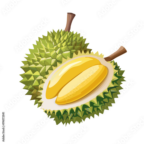 Freshly Opened Durian Fruit Showing Creamy Flesh Inside