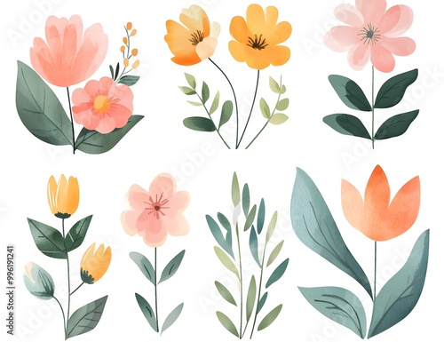 Watercolor flower clipart collection, simple flat design, white background, pastel colors, watercolor 