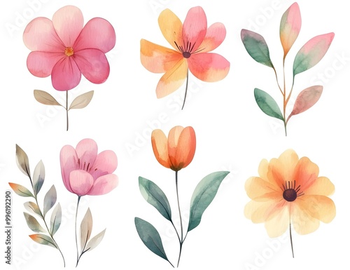 Wallpaper Mural Watercolor flower clipart collection, simple flat design, white background, pastel colors, watercolor  Torontodigital.ca