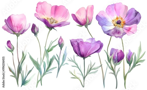 Wallpaper Mural Watercolor wild flower clipart, pink and purple flowers on a white background, in different angles and poses.  Torontodigital.ca