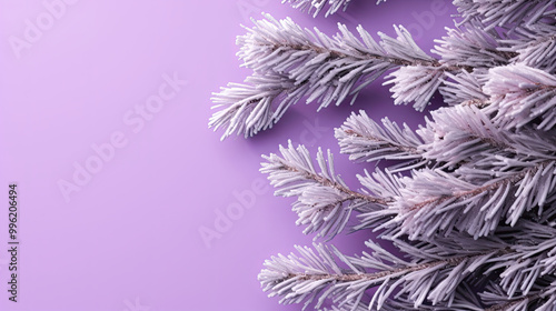 Snowy Christmas tree branches or snowy Christmas fir tree on a light purple background