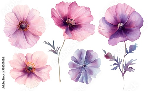 Wallpaper Mural Watercolor wild flower clipart, pink and purple flowers on a white background, in different angles and poses.  Torontodigital.ca
